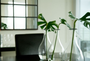 beautiful dining